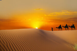 Pilgerreise im Wüstensand
